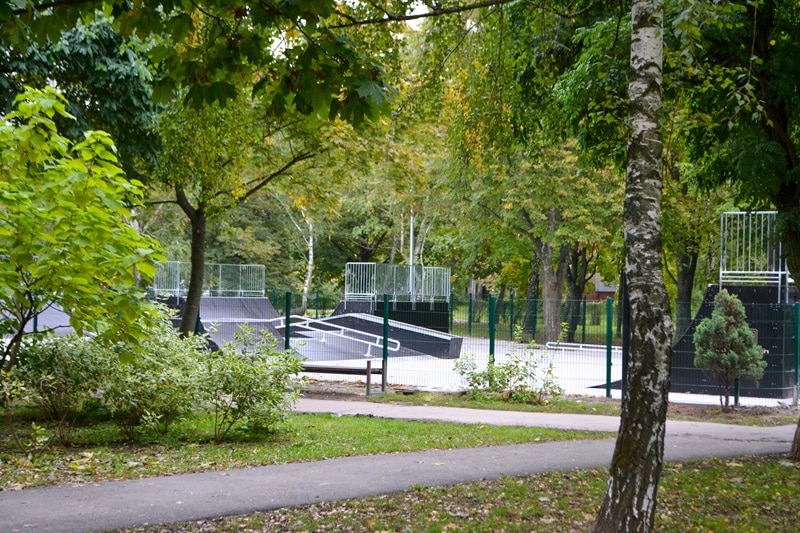 Explorez le monde des forêts urbaines : Définition et enjeux