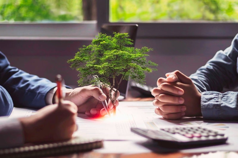 Gestion de patrimoine et critères ESG : pourquoi le conseil spécialisé devient essentiel ?